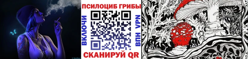 Галлюциногенные грибы Psilocybine cubensis  цены наркотик  Торжок 